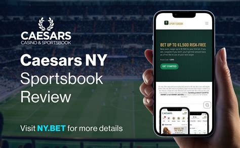 Seneca Buffalo Creek Sports Betting Review .